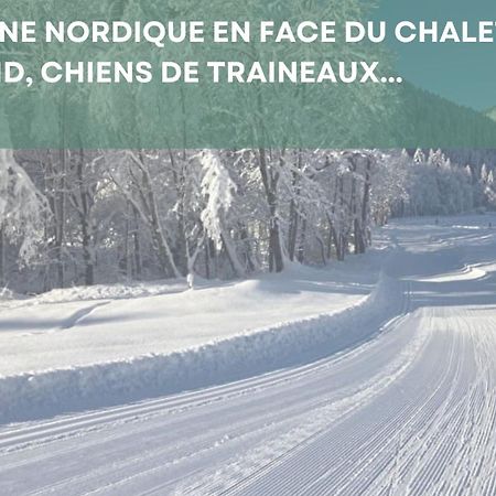 Chalet Les 4 Saisons - Ski, Parking Et Jardin Abondance Kültér fotó