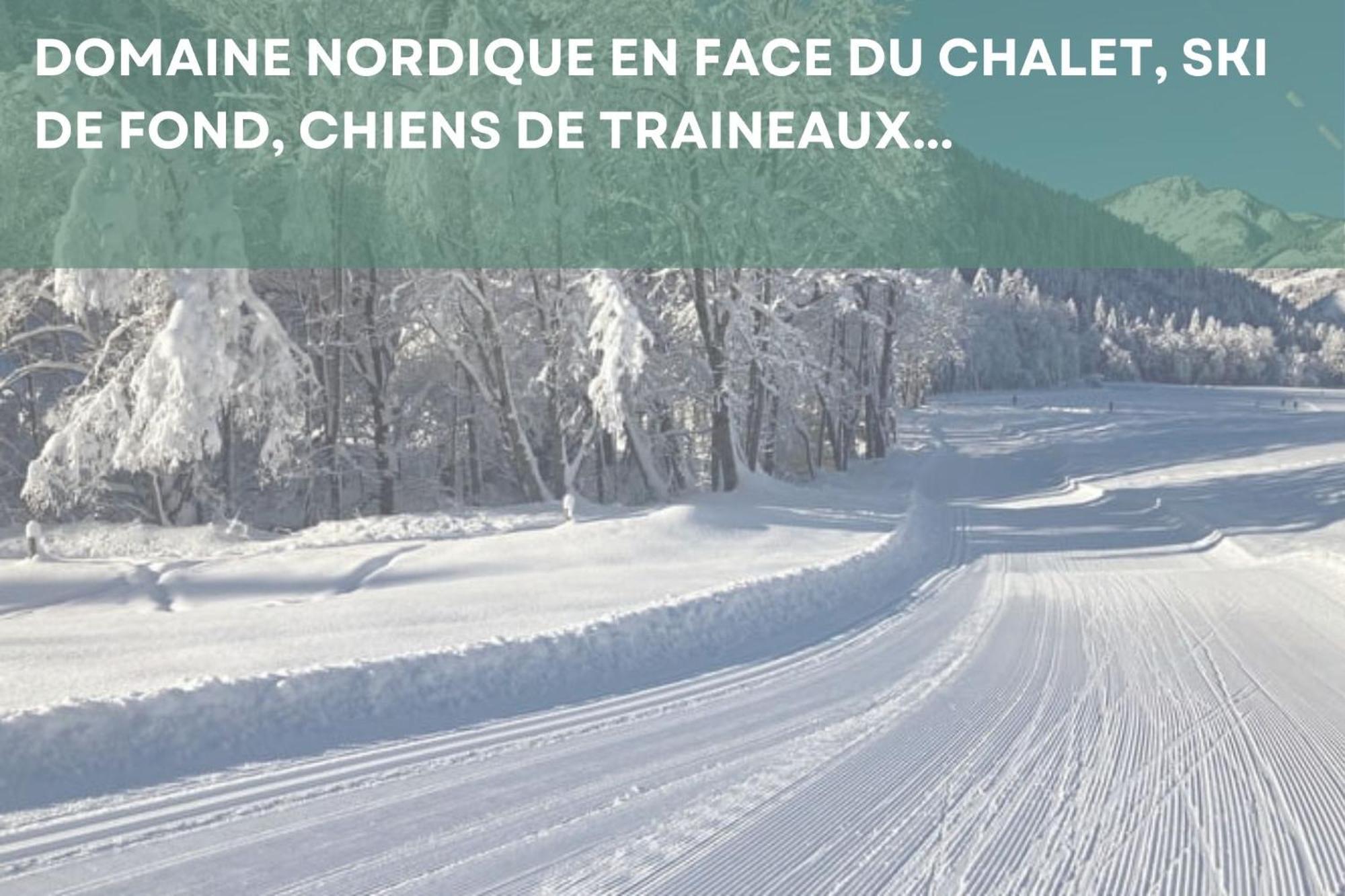 Chalet Les 4 Saisons - Ski, Parking Et Jardin Abondance Kültér fotó