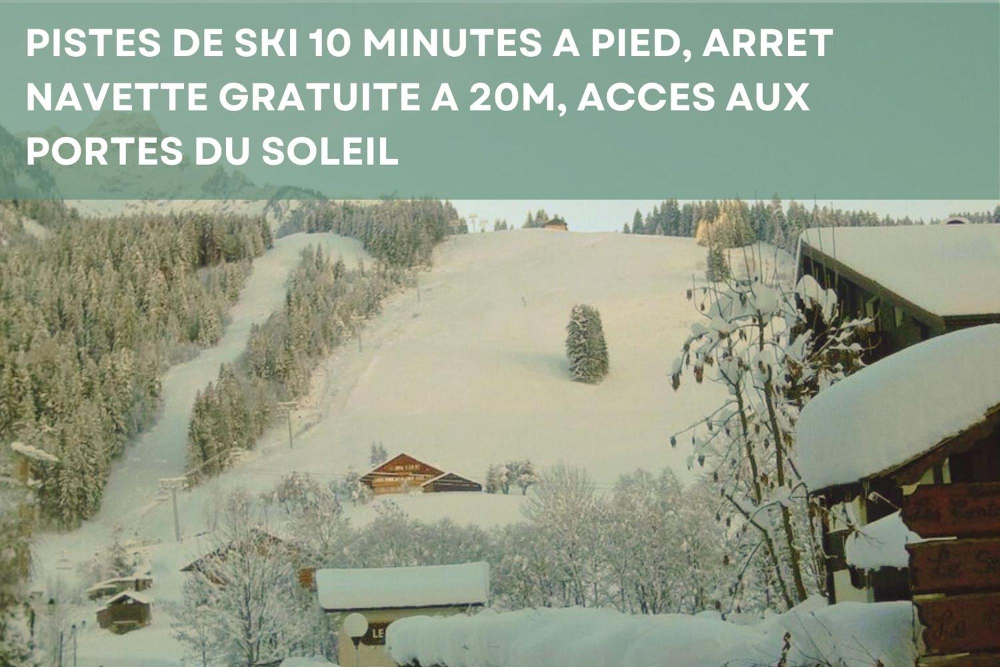 Chalet Les 4 Saisons - Ski, Parking Et Jardin Abondance Kültér fotó
